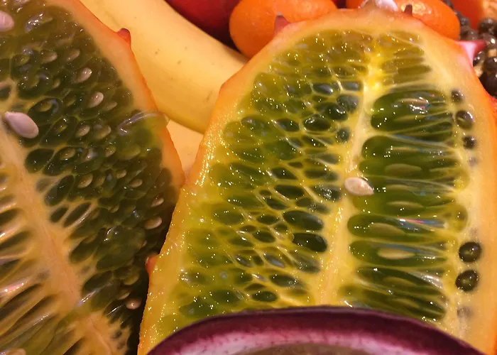 캄파닐레 유라릴 릴